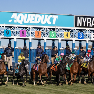 Aqueduct track betting analysis for races